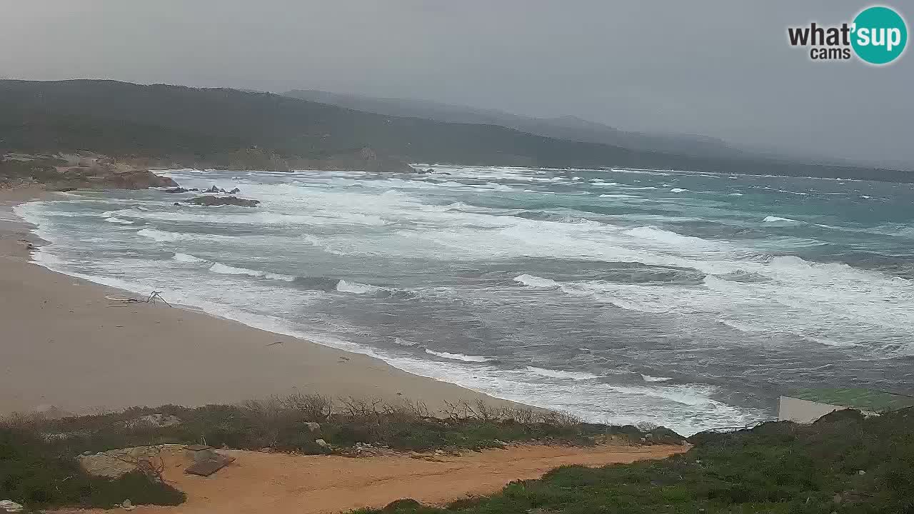 Spiaggia La Liccia webcam Rena Majore – Santa Teresa Gallura livecam Sardegna