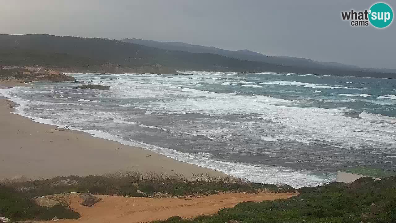 Plaža La Liccia v živo Rena Majore – Santa Teresa Gallura spletna kamera Sardinija