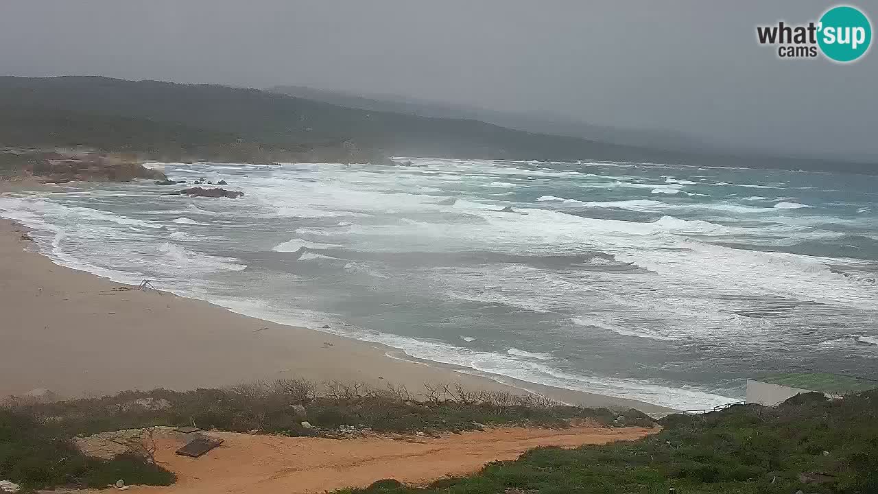 Plaža La Liccia v živo Rena Majore – Santa Teresa Gallura spletna kamera Sardinija