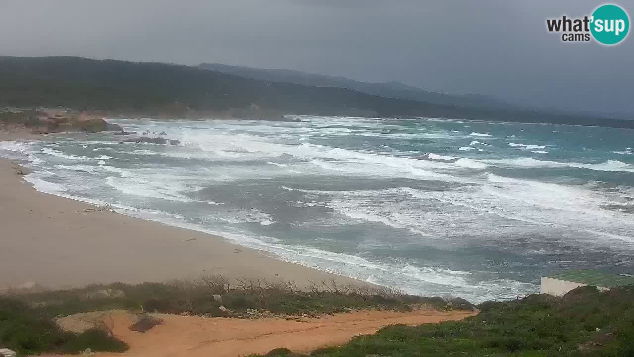 Spiaggia La Liccia webcam Rena Majore – Santa Teresa Gallura livecam Sardegna