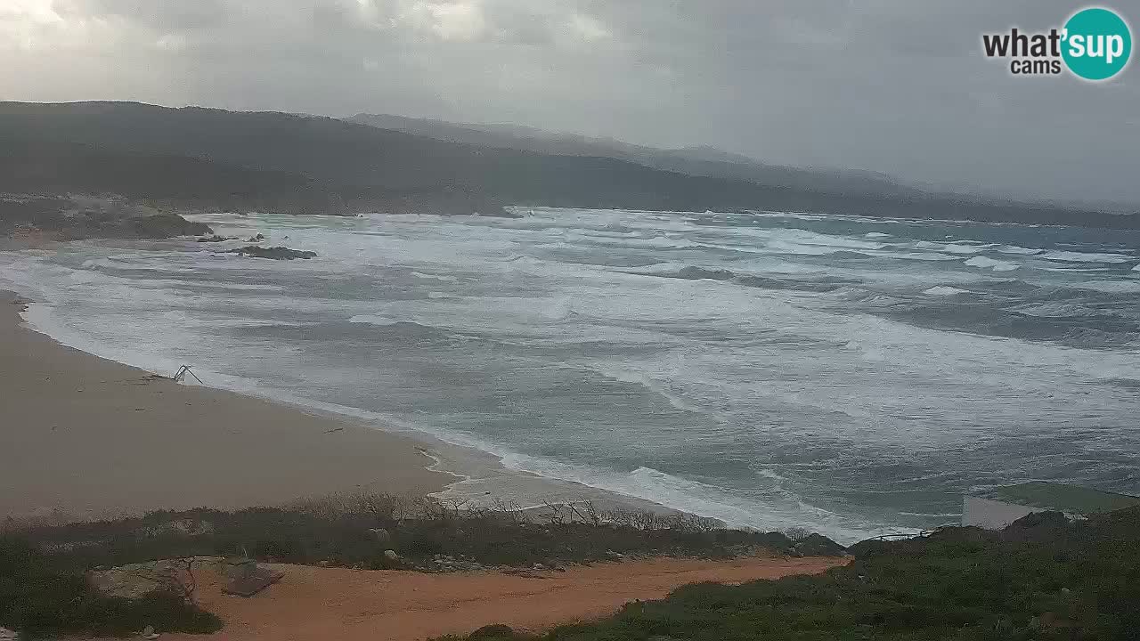 La Liccia playa webcam Rena Majore – Santa Teresa Gallura en vivo Cerdeña