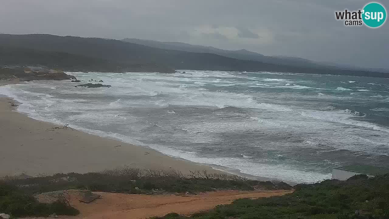 Plaža La Liccia v živo Rena Majore – Santa Teresa Gallura spletna kamera Sardinija