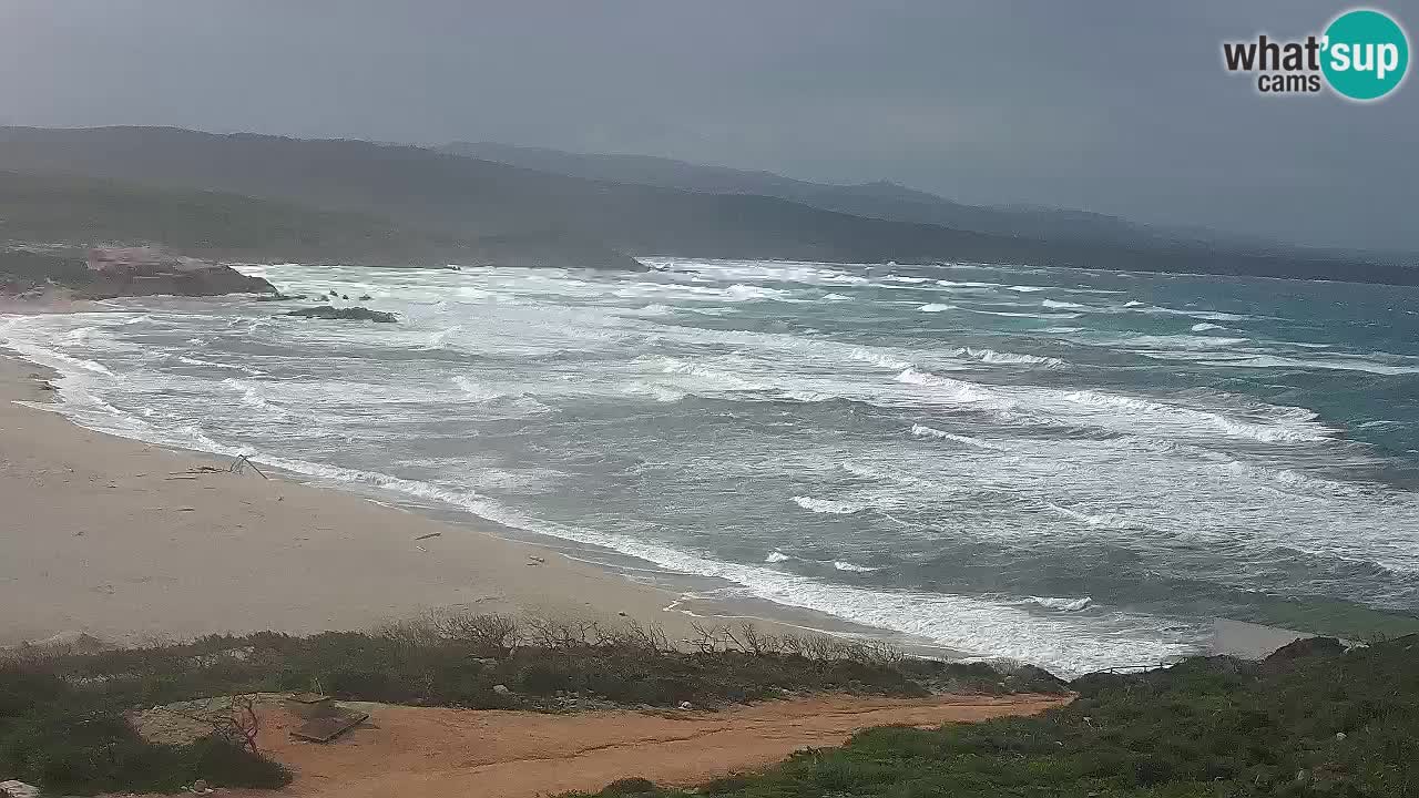 Plaža La Liccia u živo Rena Majore – Santa Teresa Gallura web kamera Sardinija