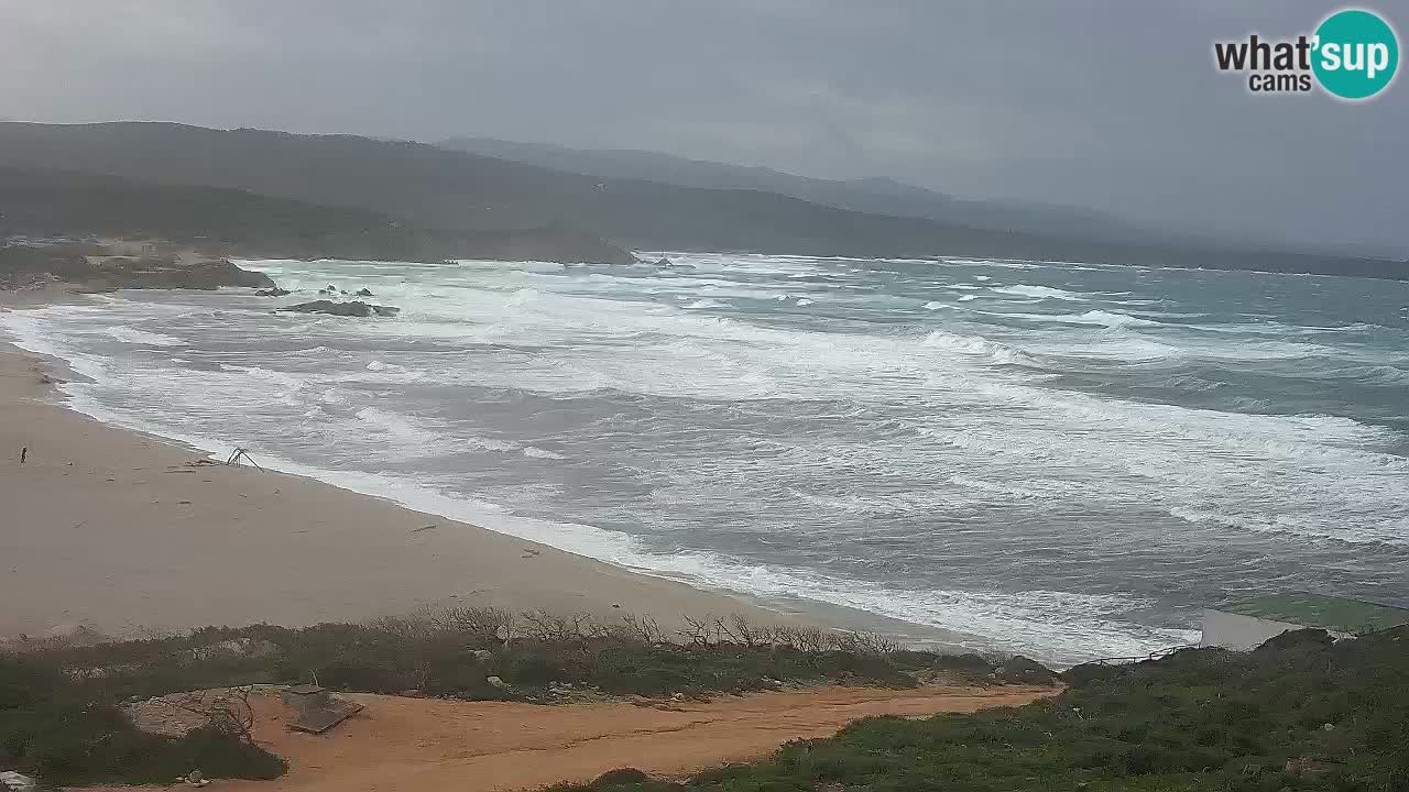 Plaža La Liccia u živo Rena Majore – Santa Teresa Gallura web kamera Sardinija