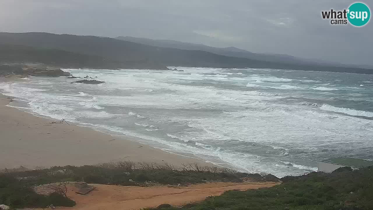 Plaža La Liccia u živo Rena Majore – Santa Teresa Gallura web kamera Sardinija