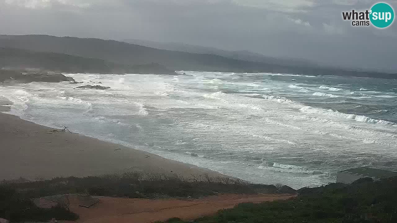 Plaža La Liccia u živo Rena Majore – Santa Teresa Gallura web kamera Sardinija