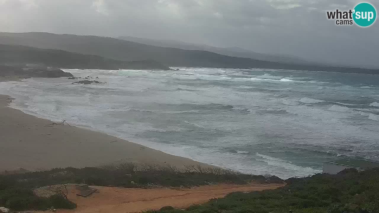 La Liccia playa webcam Rena Majore – Santa Teresa Gallura en vivo Cerdeña