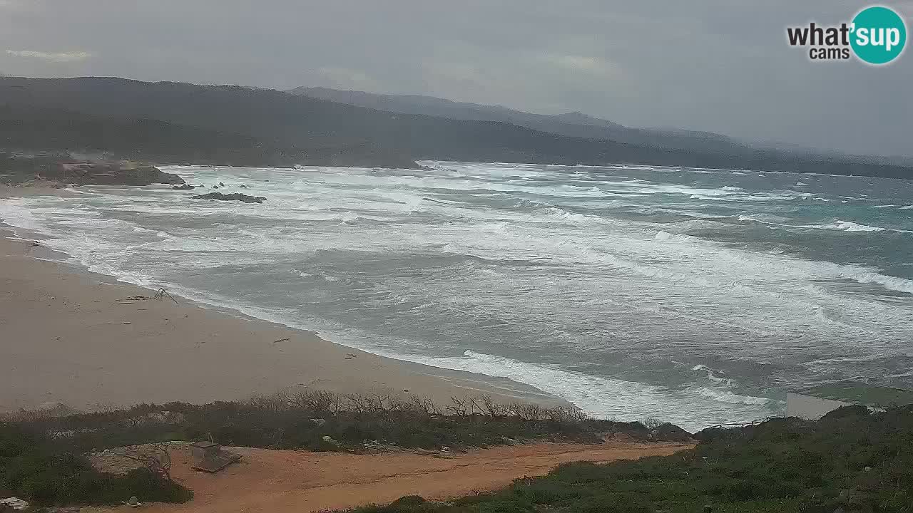 La Liccia playa webcam Rena Majore – Santa Teresa Gallura en vivo Cerdeña