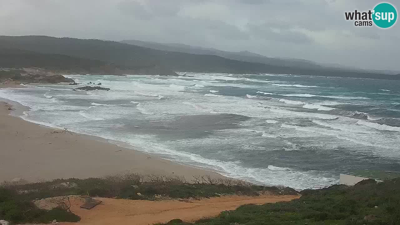 Plaža La Liccia v živo Rena Majore – Santa Teresa Gallura spletna kamera Sardinija