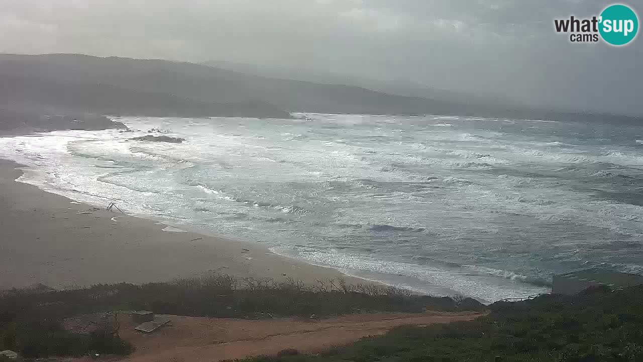 Plaža La Liccia v živo Rena Majore – Santa Teresa Gallura spletna kamera Sardinija