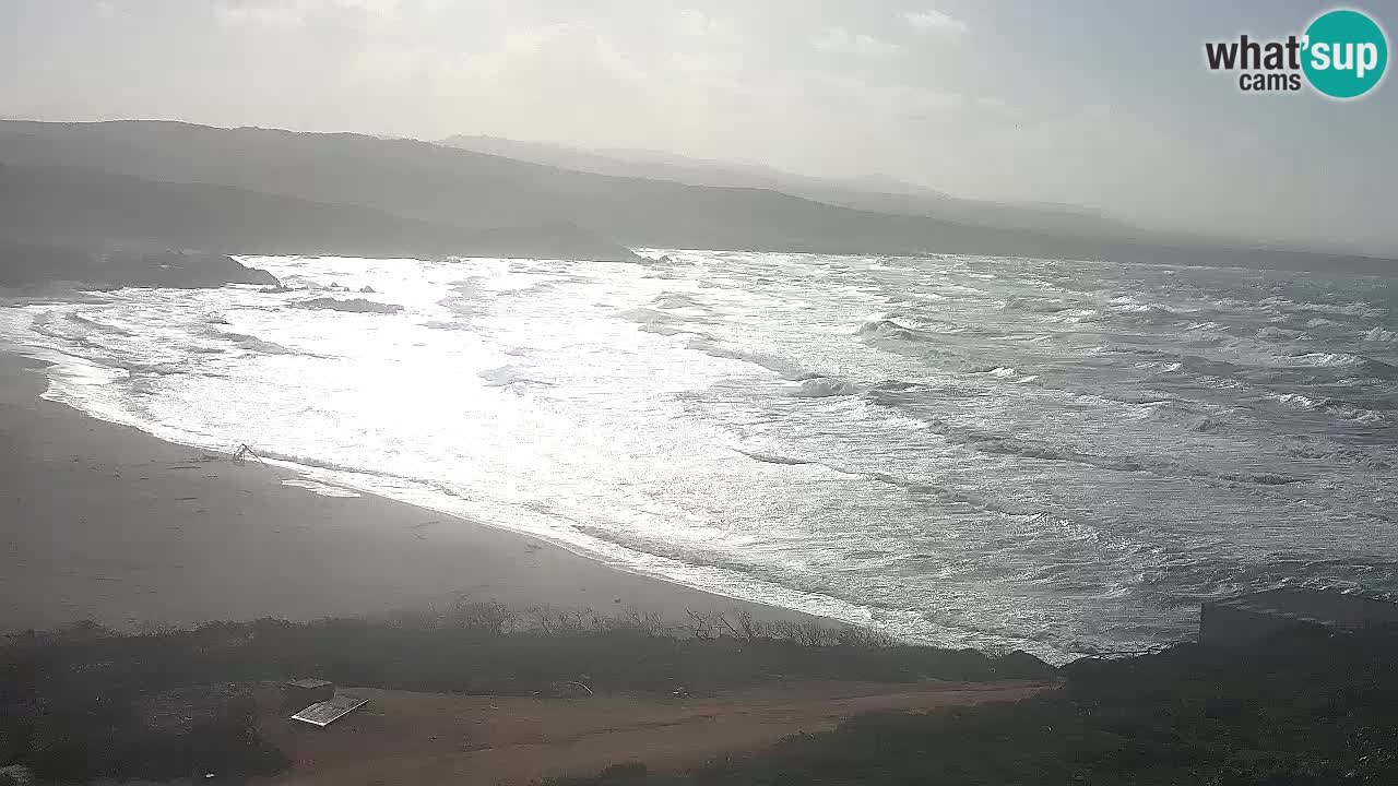 Spiaggia La Liccia webcam Rena Majore – Santa Teresa Gallura livecam Sardegna