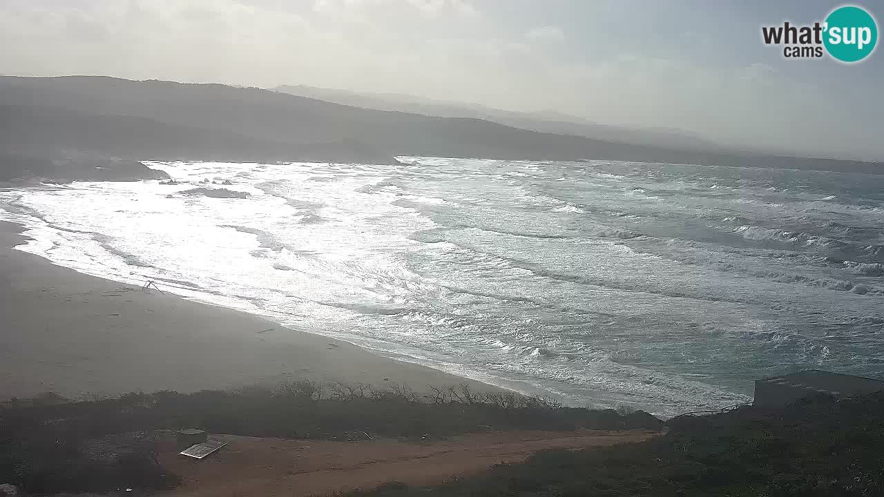 Plaža La Liccia u živo Rena Majore – Santa Teresa Gallura web kamera Sardinija