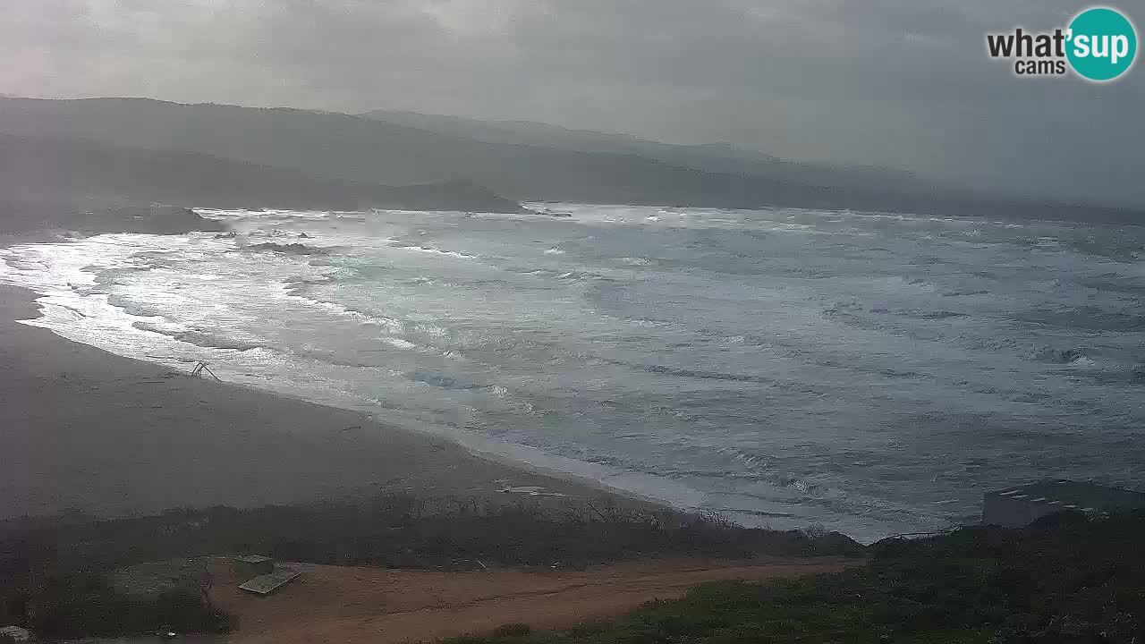 Plaža La Liccia v živo Rena Majore – Santa Teresa Gallura spletna kamera Sardinija