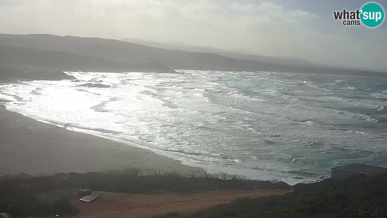 Spiaggia La Liccia webcam Rena Majore – Santa Teresa Gallura livecam Sardegna