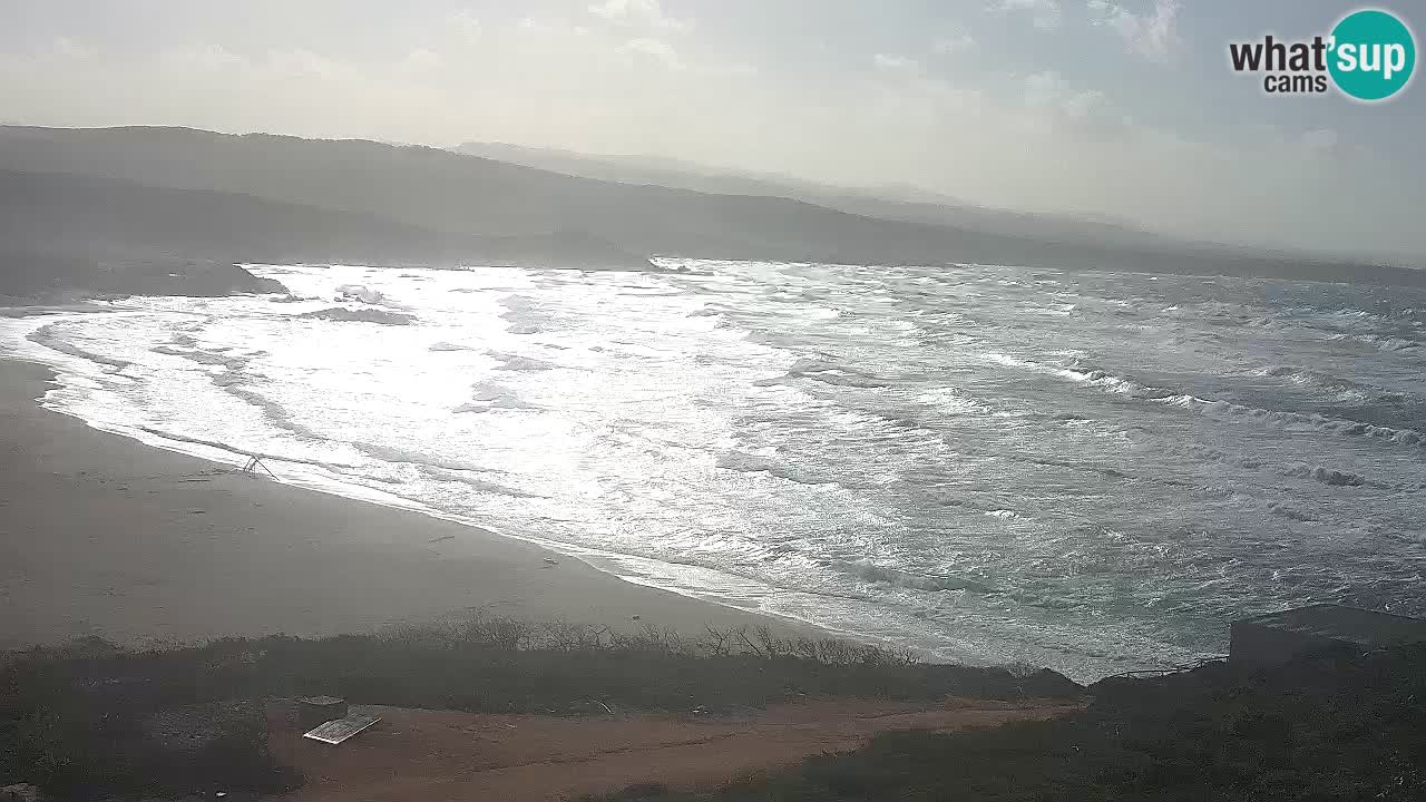 Plaža La Liccia v živo Rena Majore – Santa Teresa Gallura spletna kamera Sardinija