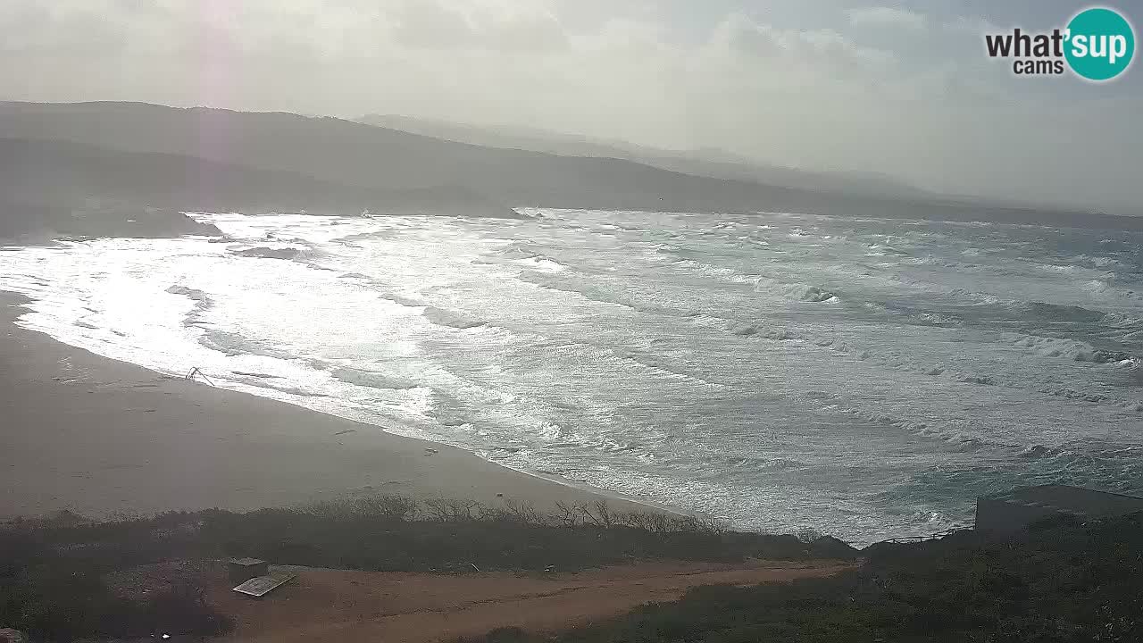 Plaža La Liccia v živo Rena Majore – Santa Teresa Gallura spletna kamera Sardinija