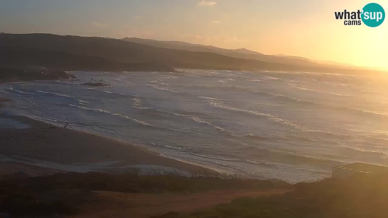 Plaža La Liccia v živo Rena Majore – Santa Teresa Gallura spletna kamera Sardinija