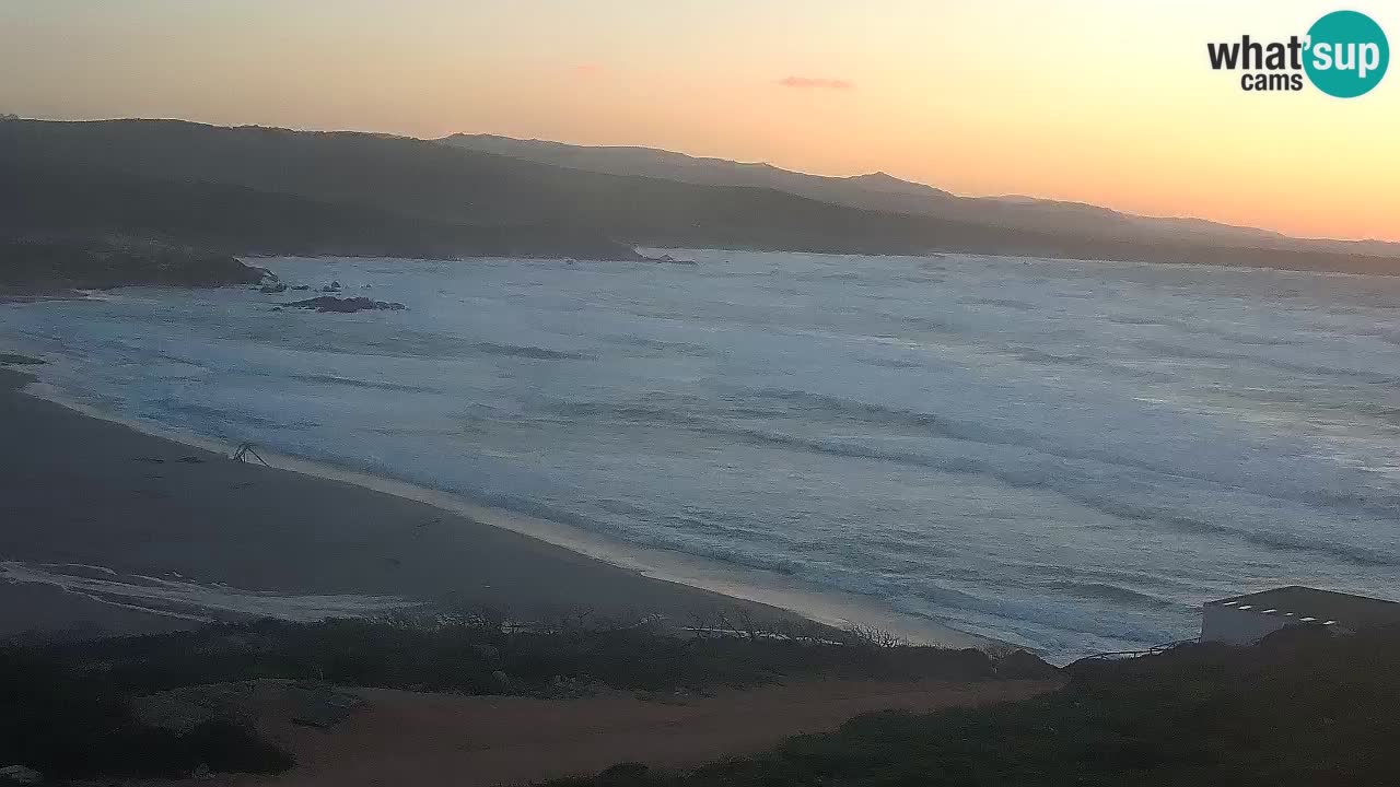 Plaža La Liccia v živo Rena Majore – Santa Teresa Gallura spletna kamera Sardinija