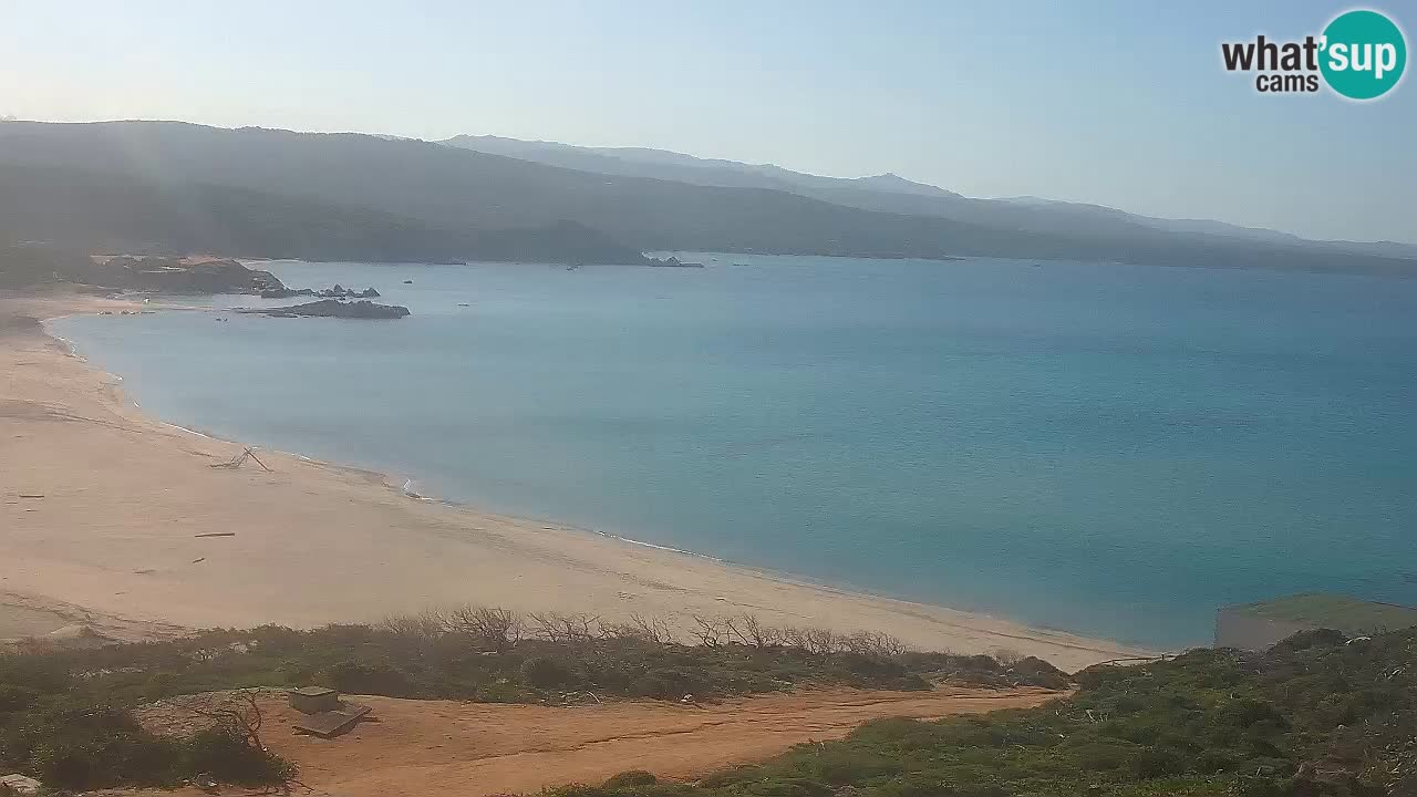 Plaža La Liccia v živo Rena Majore – Santa Teresa Gallura spletna kamera Sardinija