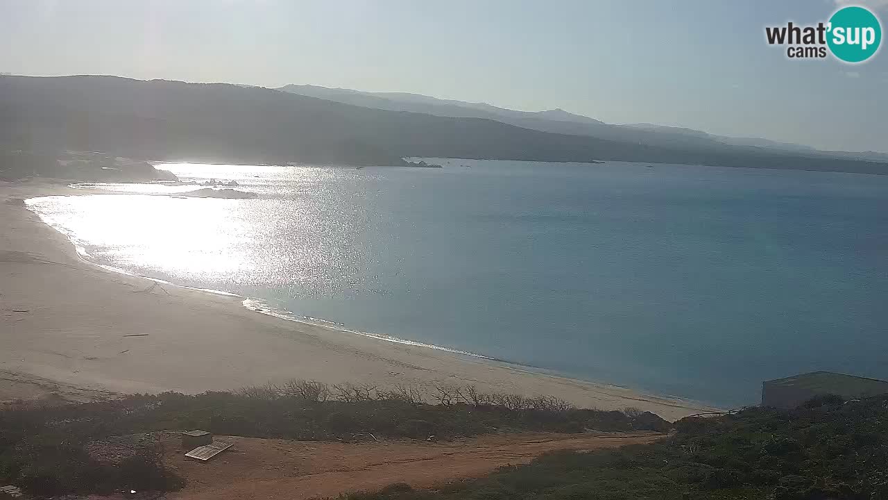 Plaža La Liccia v živo Rena Majore – Santa Teresa Gallura spletna kamera Sardinija