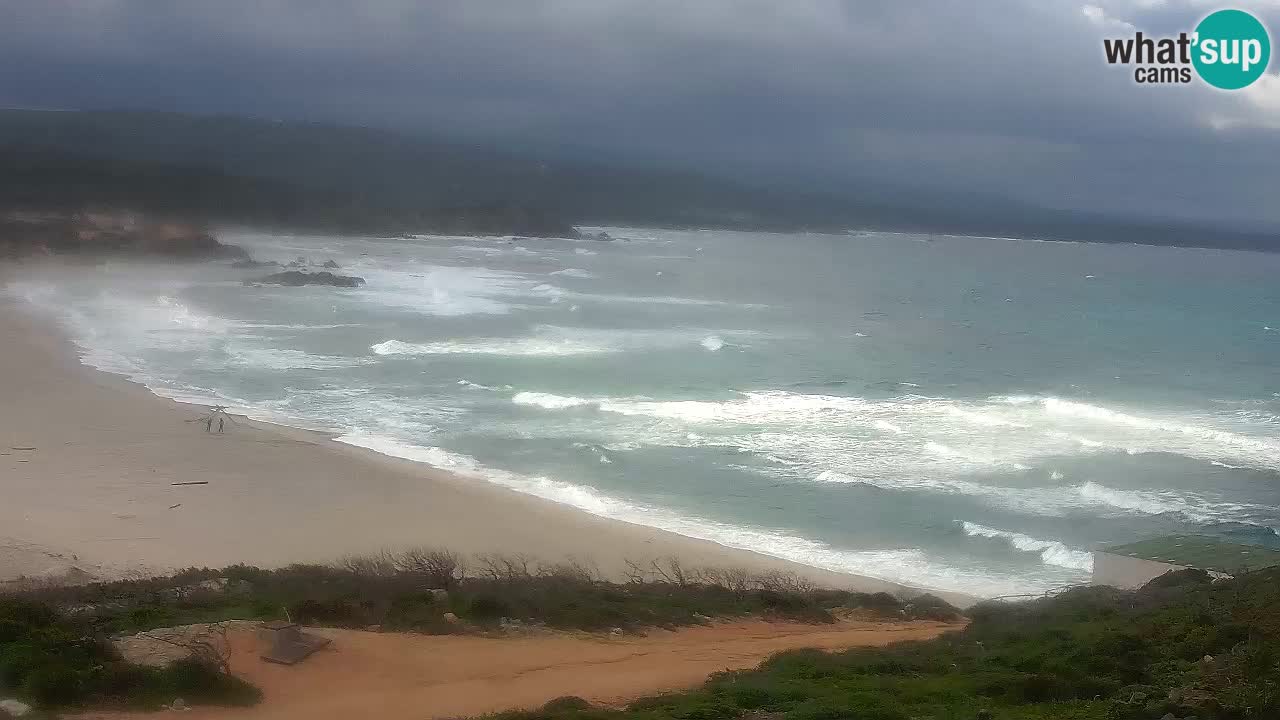 Plaža La Liccia v živo Rena Majore – Santa Teresa Gallura spletna kamera Sardinija