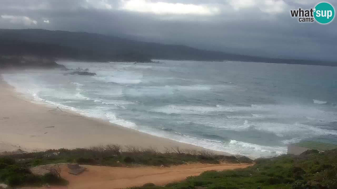 Spiaggia La Liccia webcam Rena Majore – Santa Teresa Gallura livecam Sardegna