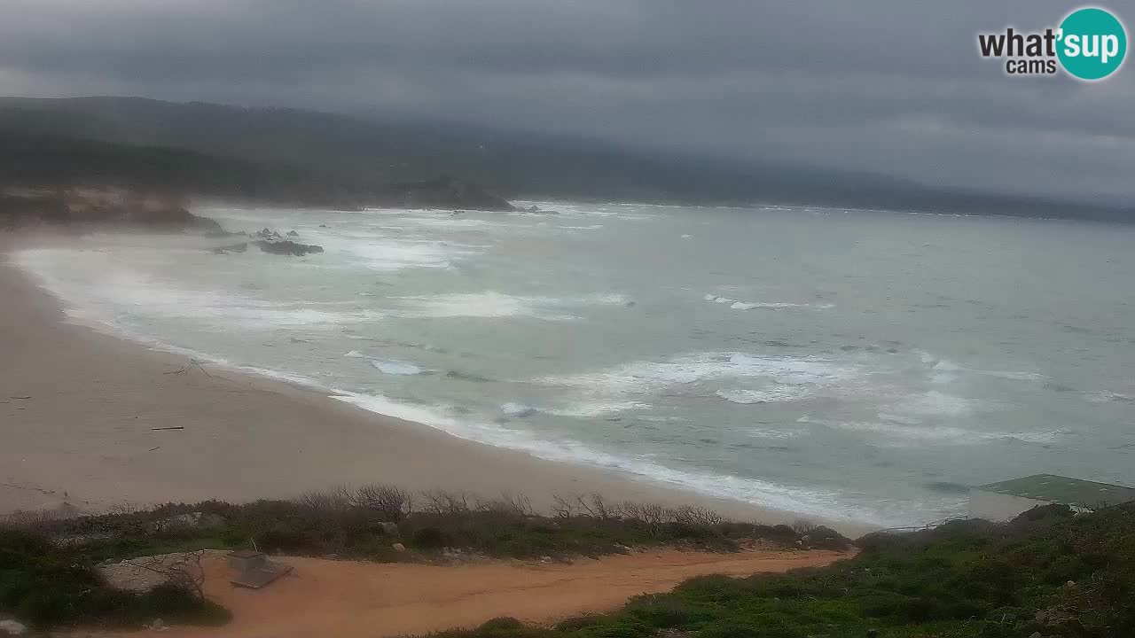 Plaža La Liccia v živo Rena Majore – Santa Teresa Gallura spletna kamera Sardinija