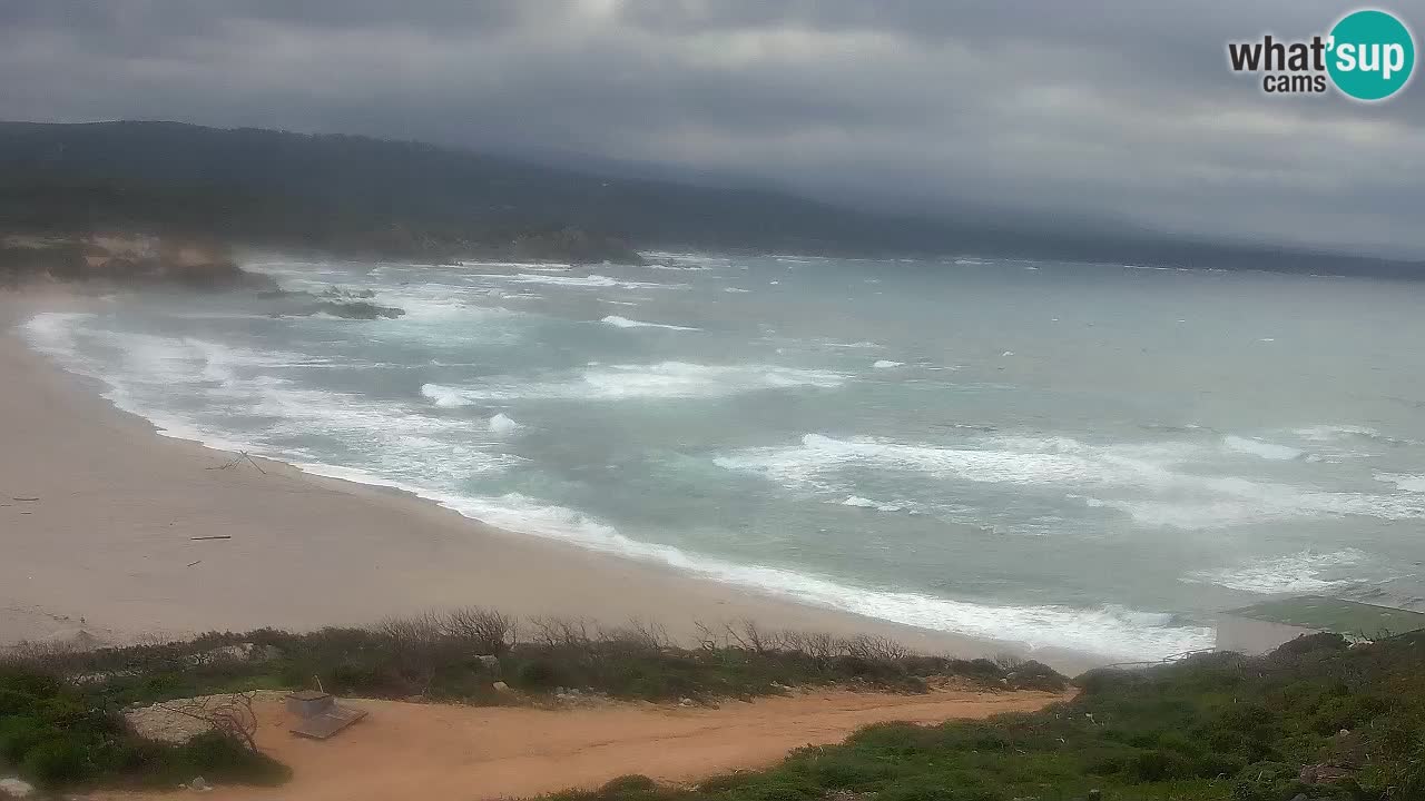 Spiaggia La Liccia webcam Rena Majore – Santa Teresa Gallura livecam Sardegna