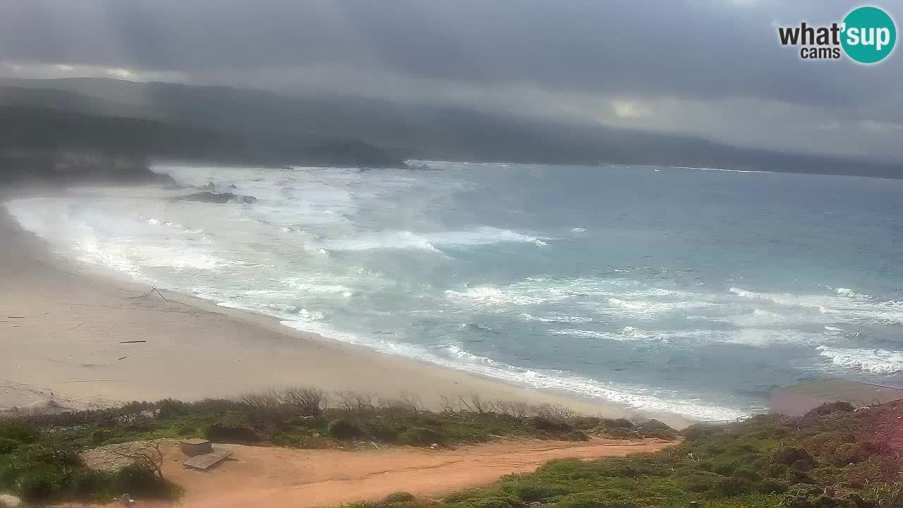 La Liccia playa webcam Rena Majore – Santa Teresa Gallura en vivo Cerdeña