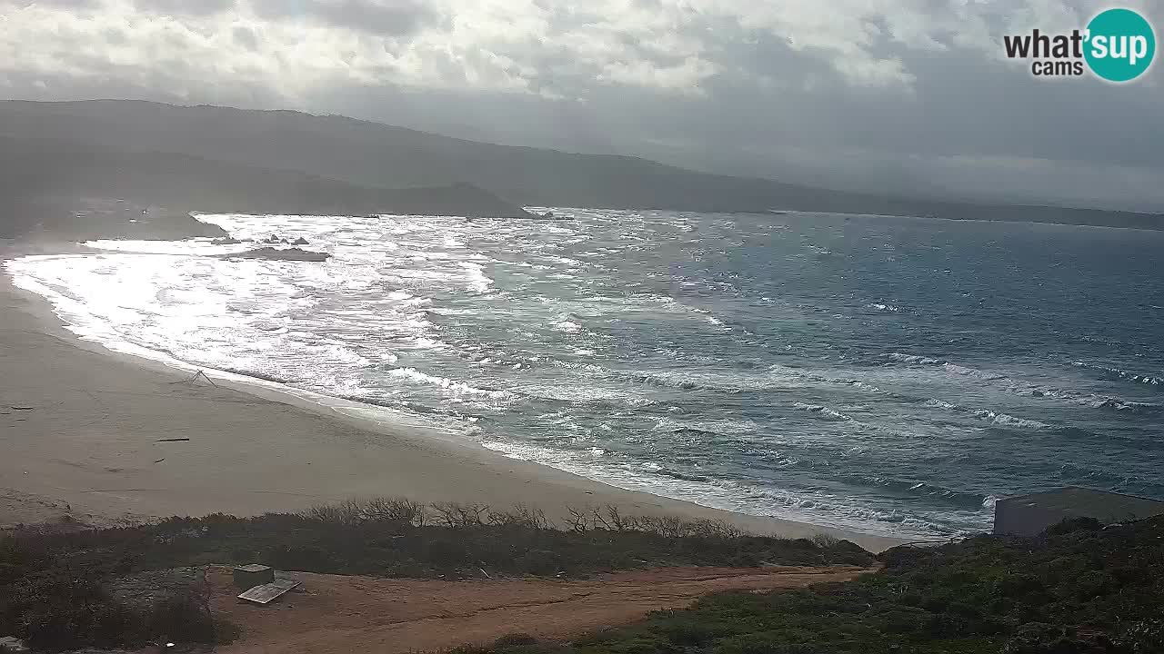 Plaža La Liccia v živo Rena Majore – Santa Teresa Gallura spletna kamera Sardinija