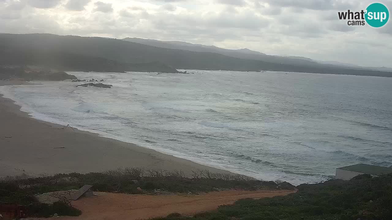 La Liccia playa webcam Rena Majore – Santa Teresa Gallura en vivo Cerdeña