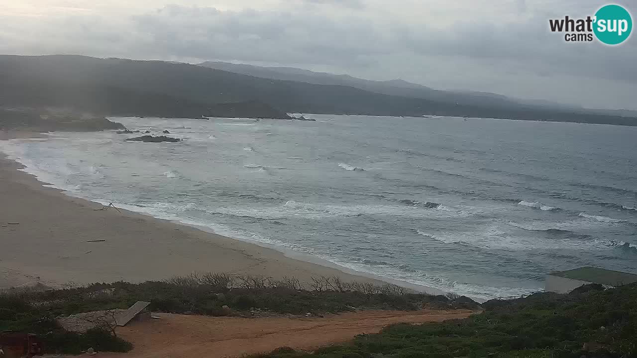 Spiaggia La Liccia webcam Rena Majore – Santa Teresa Gallura livecam Sardegna