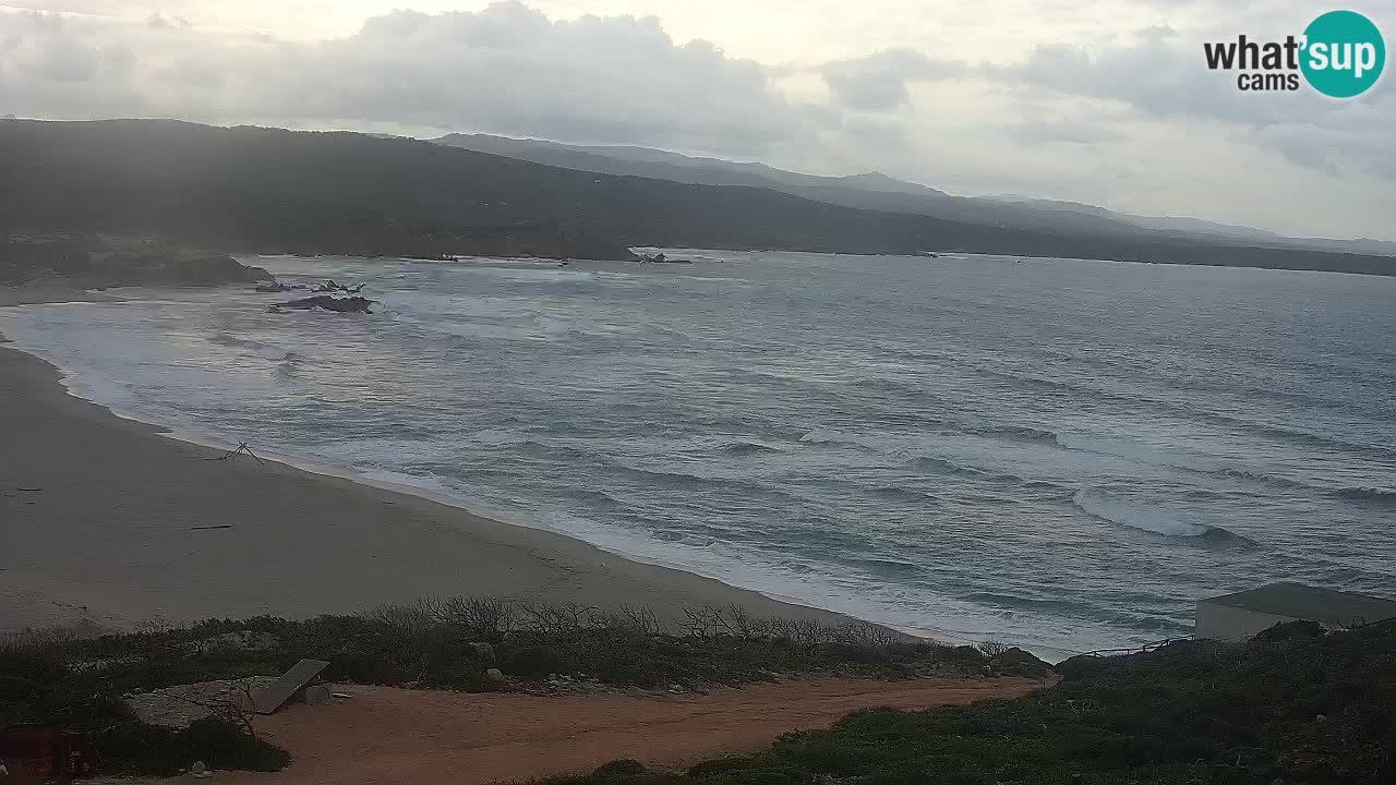 Plaža La Liccia v živo Rena Majore – Santa Teresa Gallura spletna kamera Sardinija