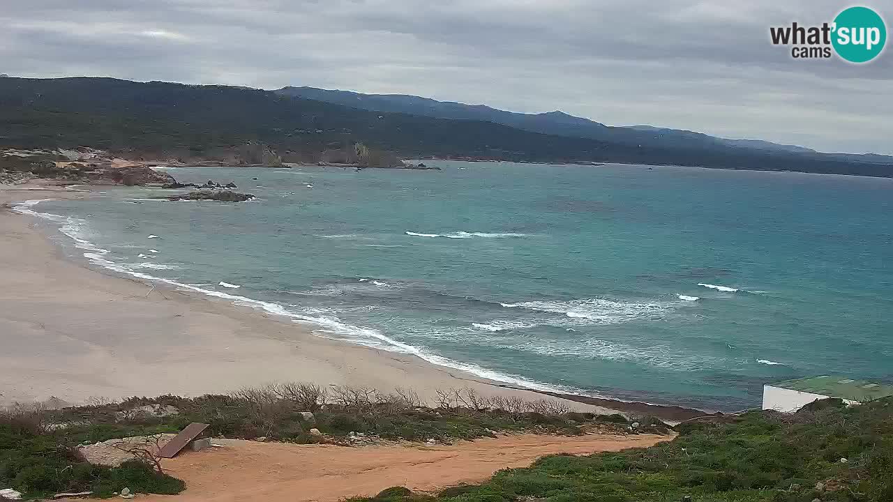 Plaža La Liccia v živo Rena Majore – Santa Teresa Gallura spletna kamera Sardinija