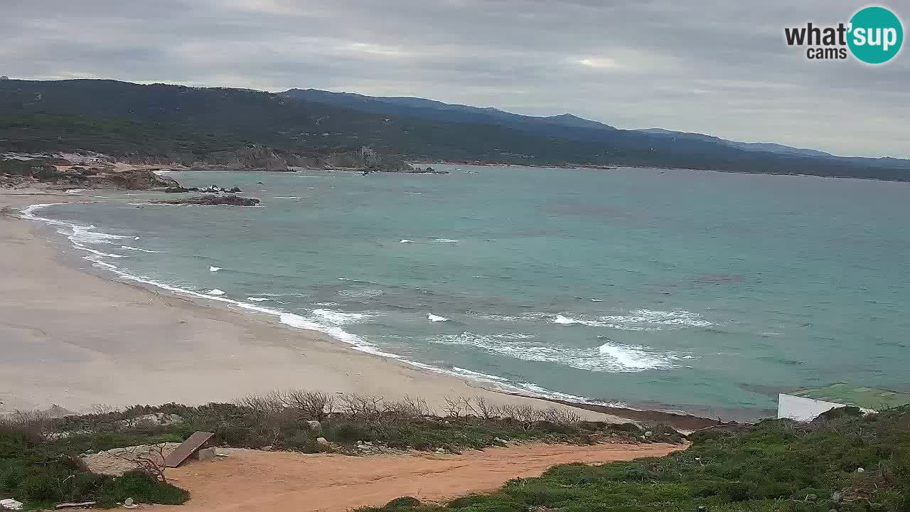 Plaža La Liccia v živo Rena Majore – Santa Teresa Gallura spletna kamera Sardinija