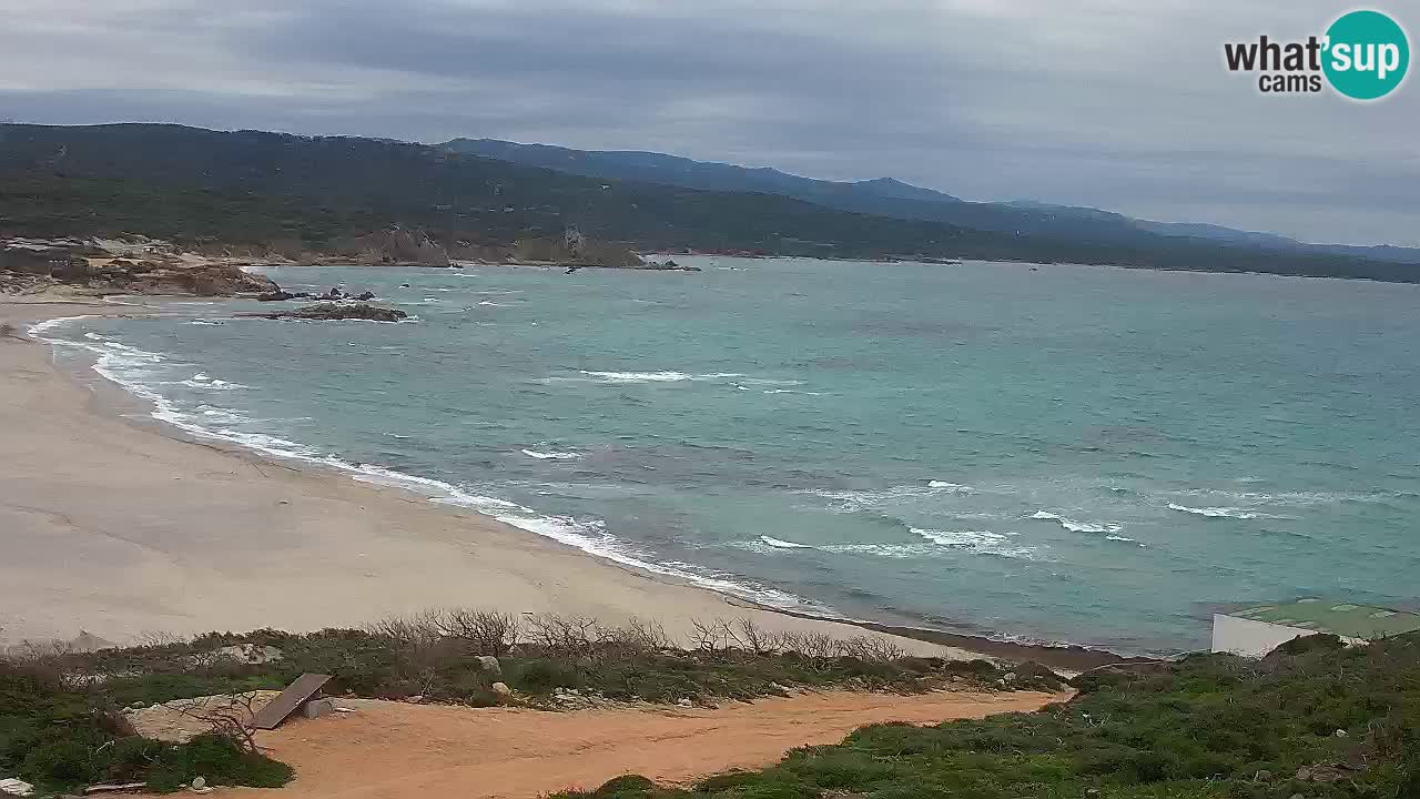 Plaža La Liccia v živo Rena Majore – Santa Teresa Gallura spletna kamera Sardinija