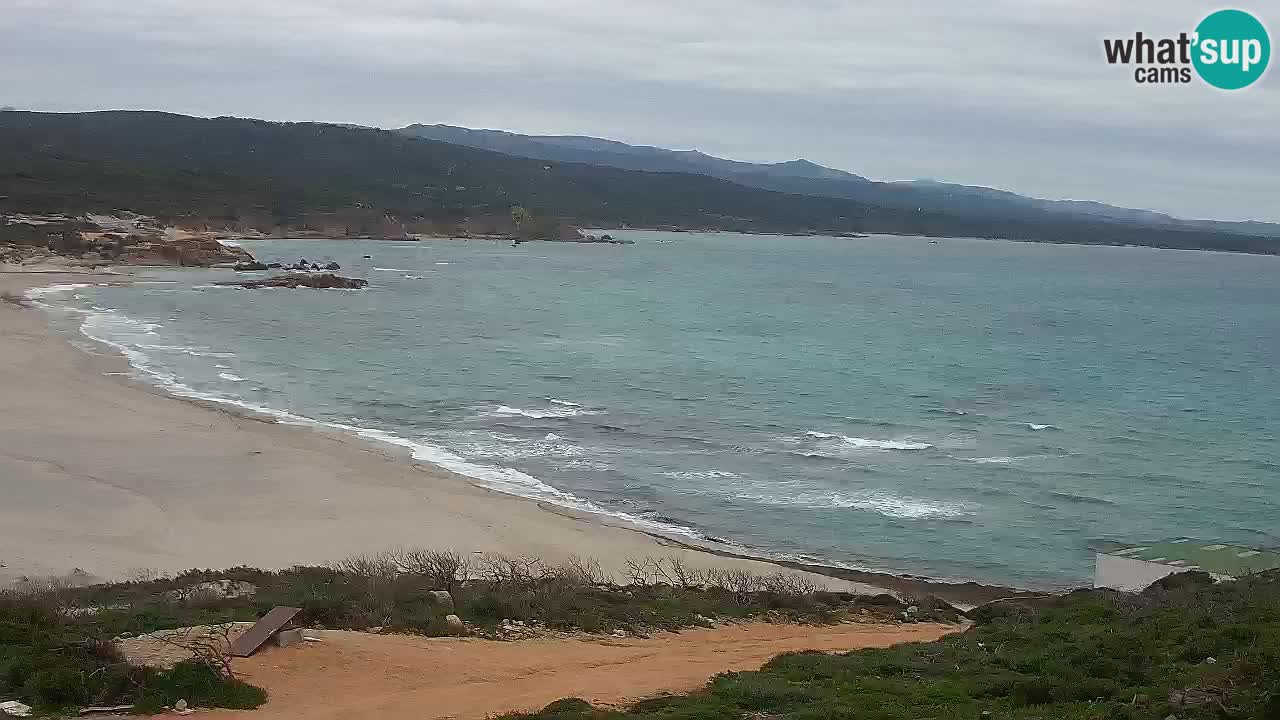 Plaža La Liccia v živo Rena Majore – Santa Teresa Gallura spletna kamera Sardinija