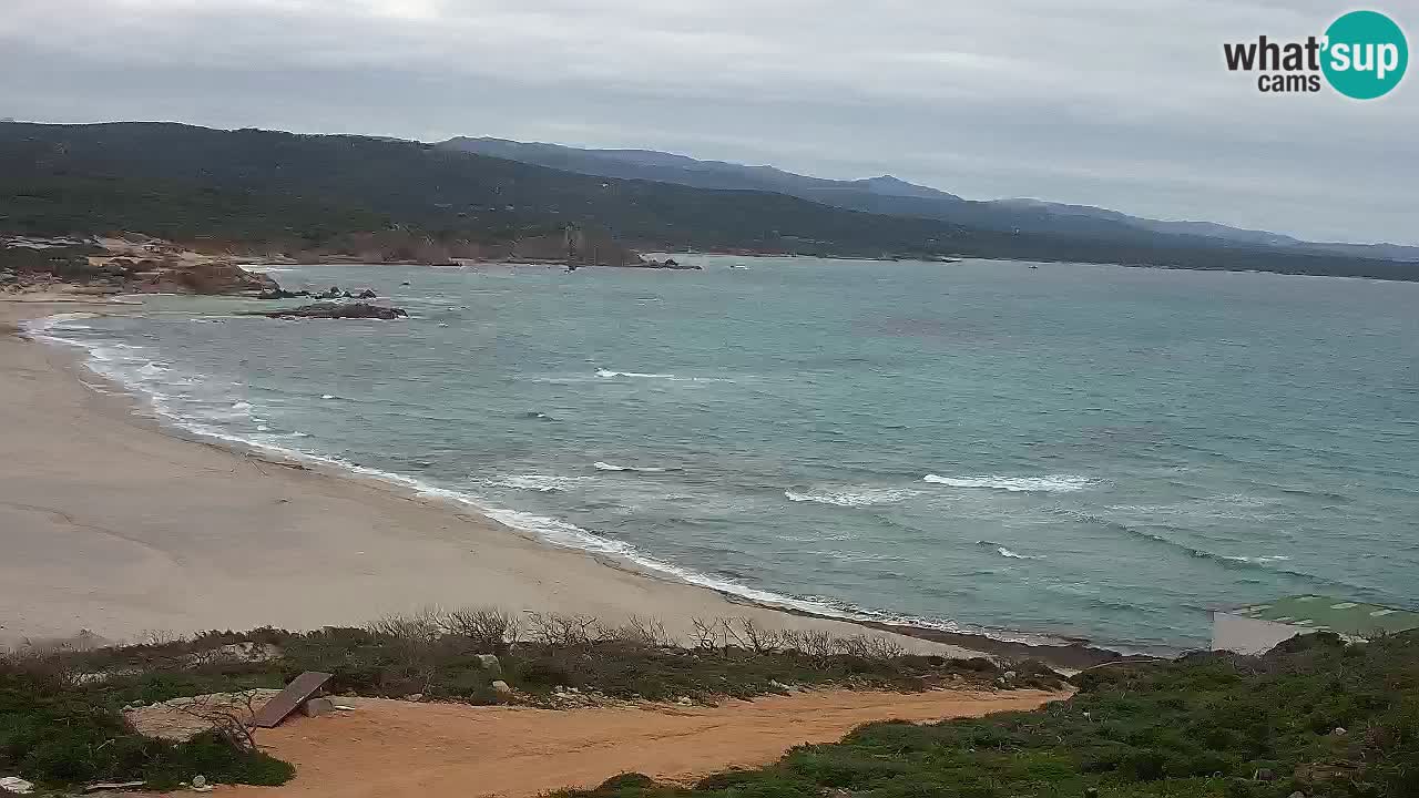 Plaža La Liccia v živo Rena Majore – Santa Teresa Gallura spletna kamera Sardinija