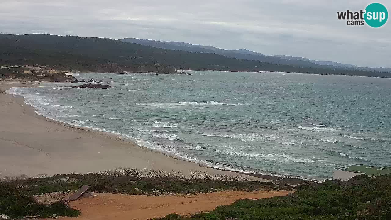 Spiaggia La Liccia webcam Rena Majore – Santa Teresa Gallura livecam Sardegna