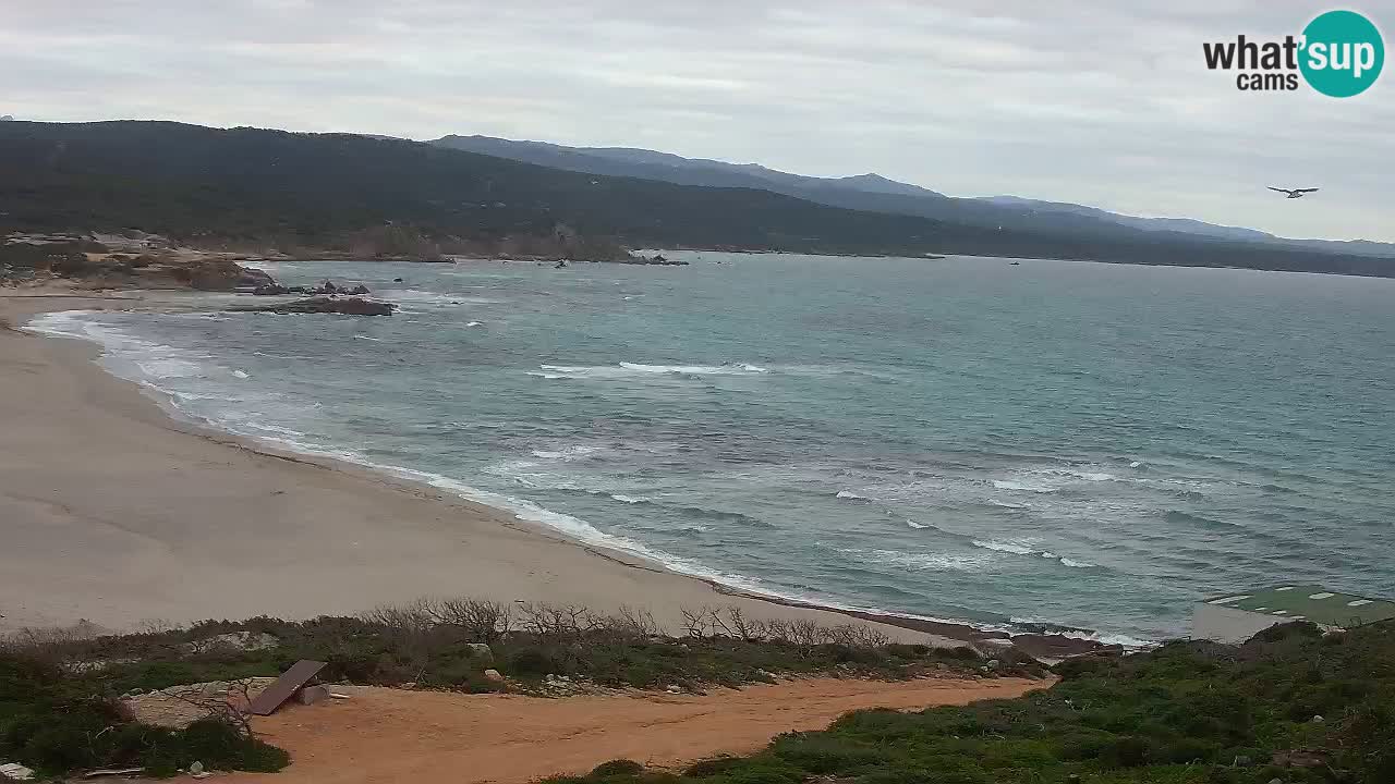 La Liccia playa webcam Rena Majore – Santa Teresa Gallura en vivo Cerdeña