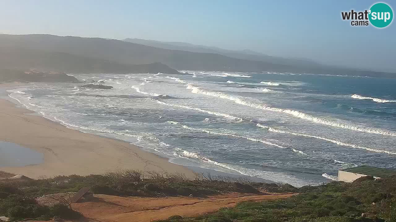 Plaža La Liccia v živo Rena Majore – Santa Teresa Gallura spletna kamera Sardinija