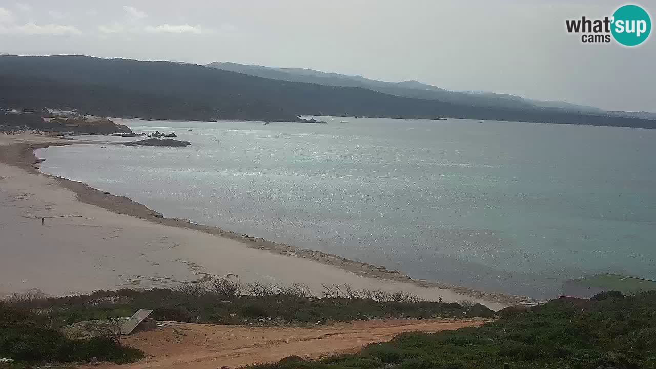 Plaža La Liccia v živo Rena Majore – Santa Teresa Gallura spletna kamera Sardinija