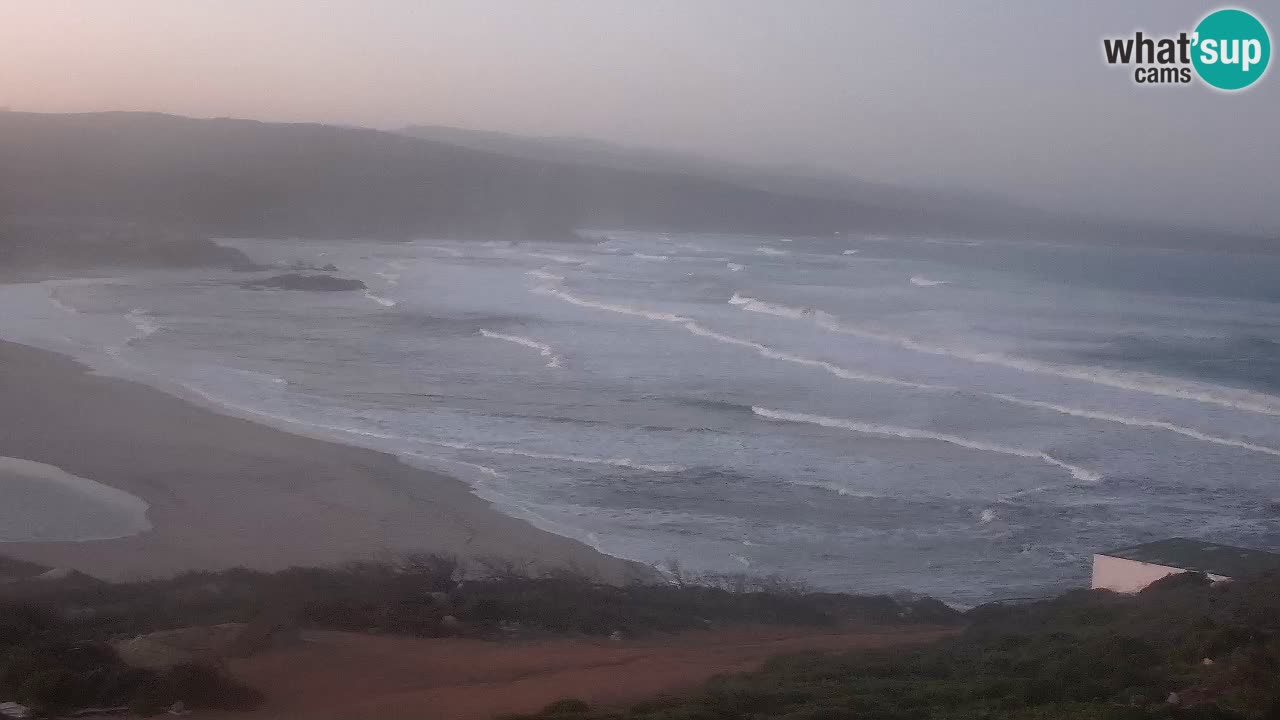 Plaža La Liccia v živo Rena Majore – Santa Teresa Gallura spletna kamera Sardinija