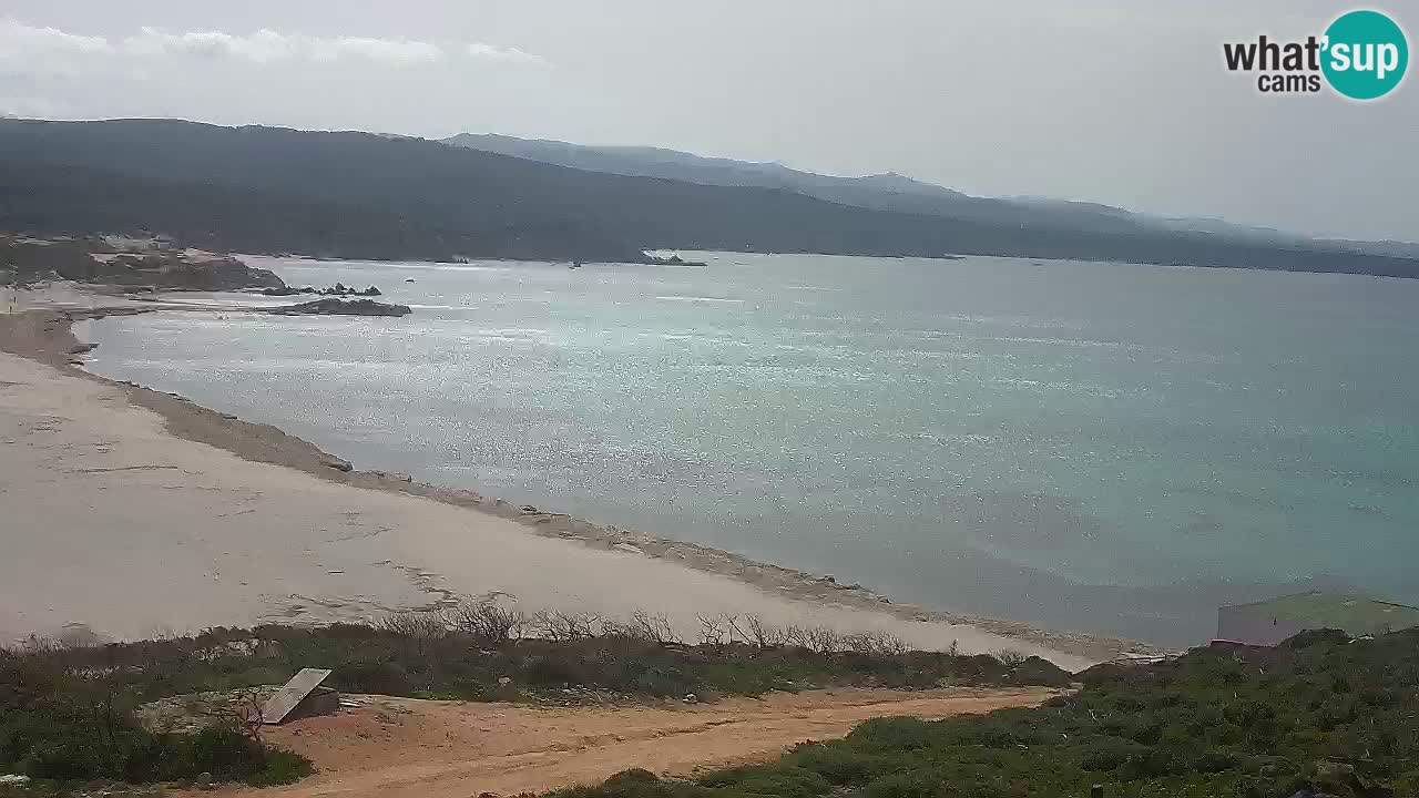 Plaža La Liccia v živo Rena Majore – Santa Teresa Gallura spletna kamera Sardinija