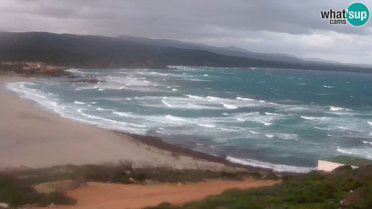 Plaža La Liccia v živo Rena Majore – Santa Teresa Gallura spletna kamera Sardinija