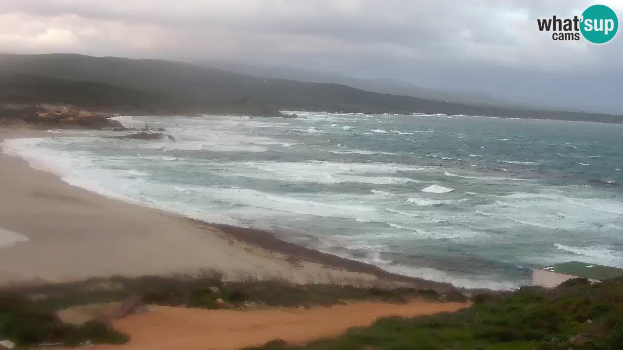 Plaža La Liccia v živo Rena Majore – Santa Teresa Gallura spletna kamera Sardinija