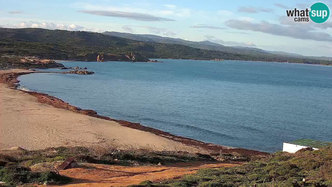 La Liccia beach webcam Rena Majore – Santa Teresa Gallura livecam Sardinia