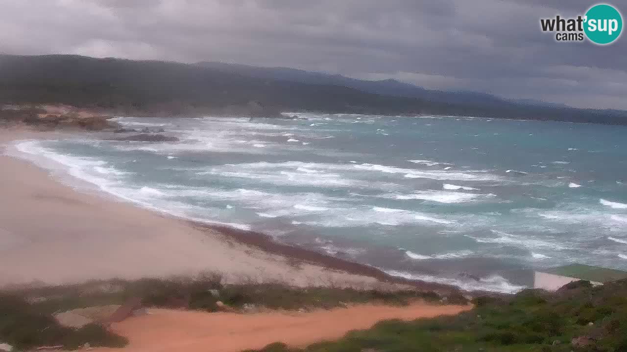 Spiaggia La Liccia webcam Rena Majore – Santa Teresa Gallura livecam Sardegna