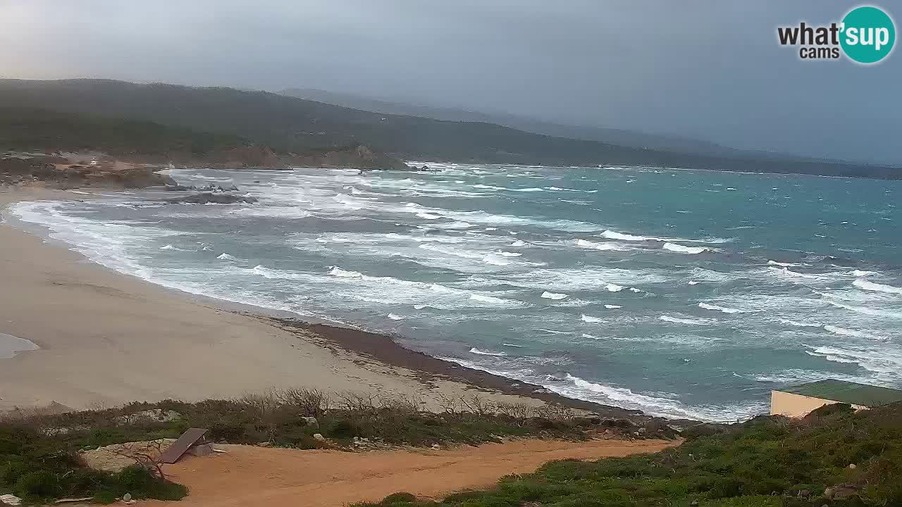 Plaža La Liccia v živo Rena Majore – Santa Teresa Gallura spletna kamera Sardinija