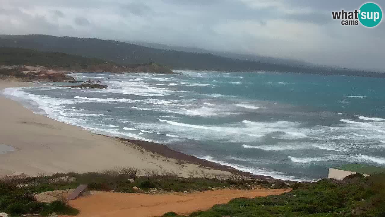 Plaža La Liccia u živo Rena Majore – Santa Teresa Gallura web kamera Sardinija